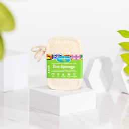 Eco Sponge
